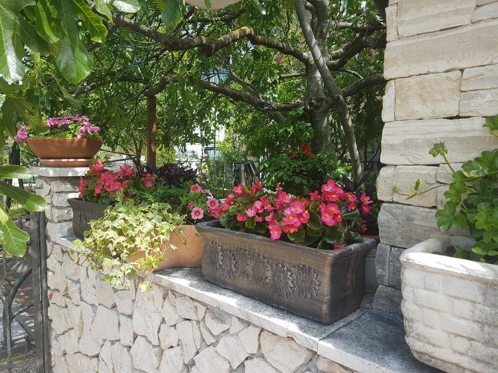 שיבניק Apartment Adis מראה חיצוני תמונה